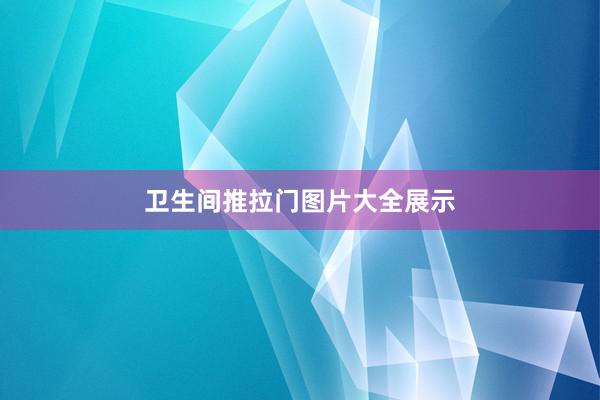 卫生间推拉门图片大全展示