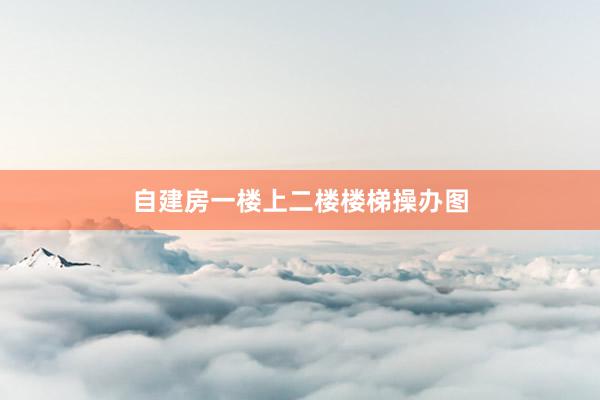 自建房一楼上二楼楼梯操办图