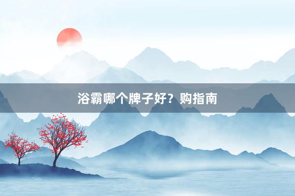 浴霸哪个牌子好？购指南