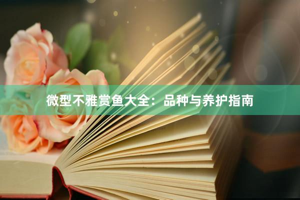 微型不雅赏鱼大全：品种与养护指南