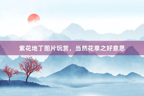 紫花地丁图片玩赏，当然花草之好意思
